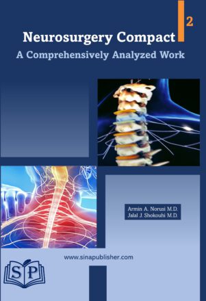 Neurosurgery Compact 2<br>A Comprehensively Analyzed Work